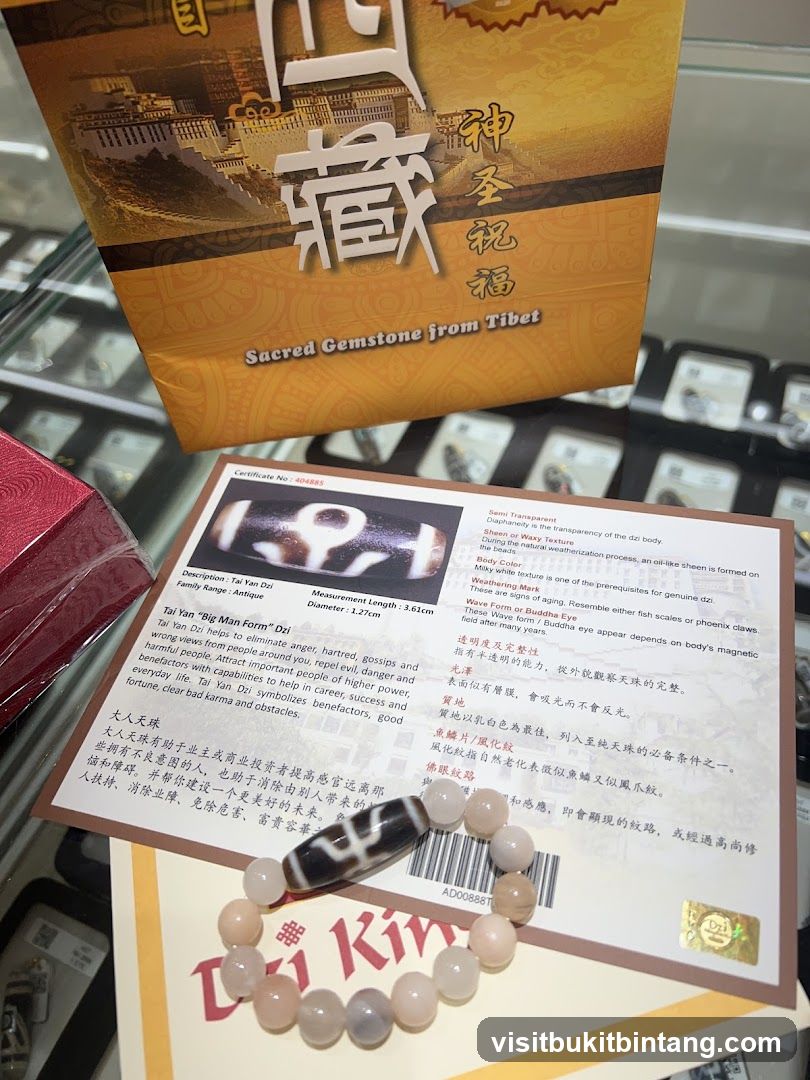 Dzi Bead Bracelet and Certificate