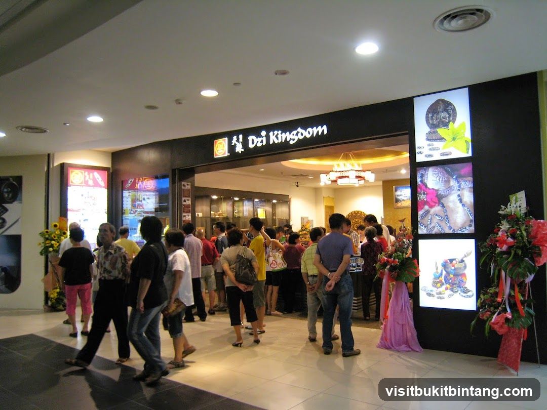Dzi Kingdom Gurney Plaza