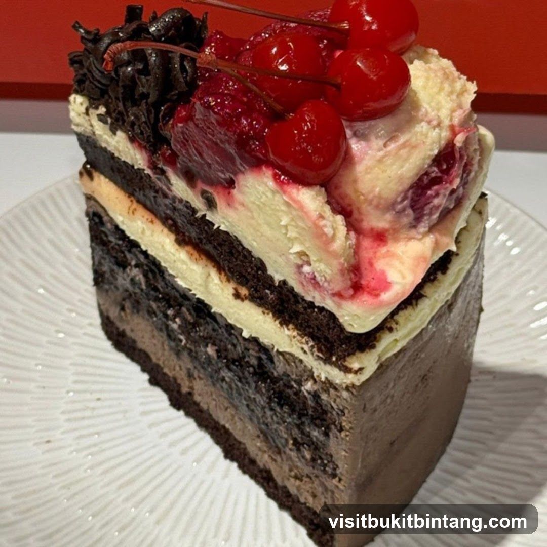Slice of Black Forest Cake