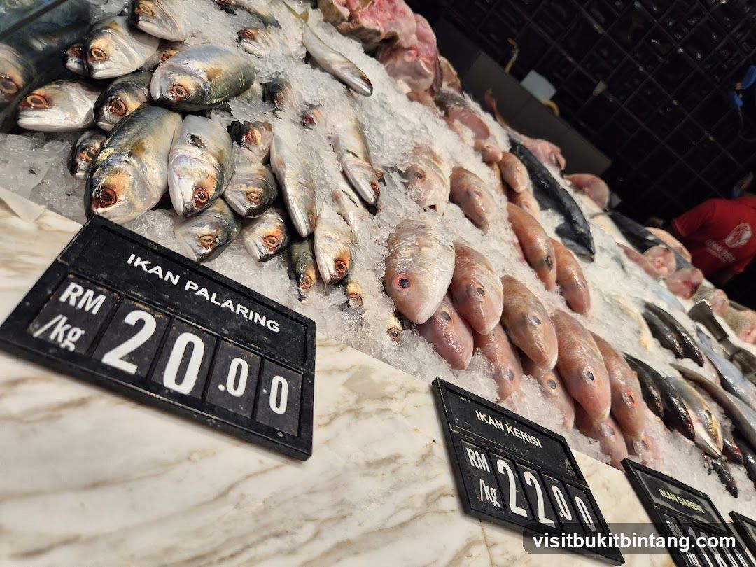 Fresh Fish Display
