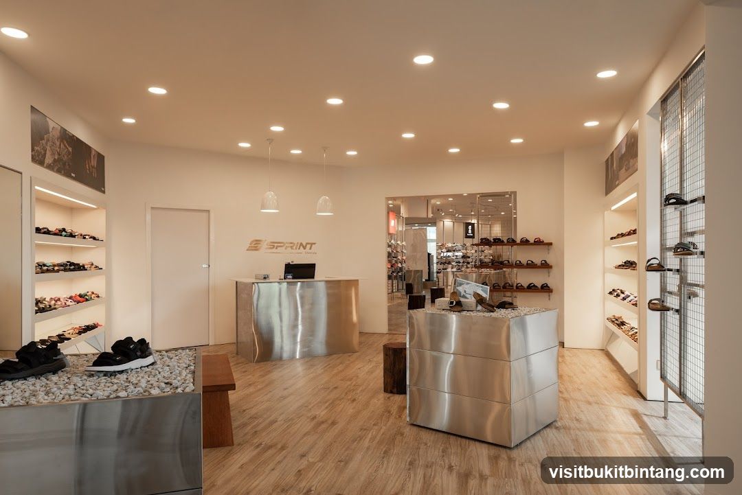 Modern Shoe Store Interior
