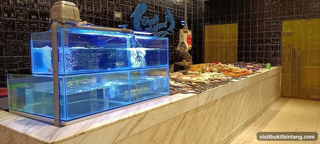 Fresh Seafood Display