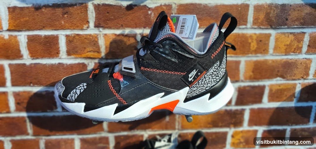 Nike Air Jordan Shoe