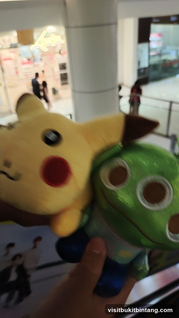 Pikachu and Froakie Plush Toys