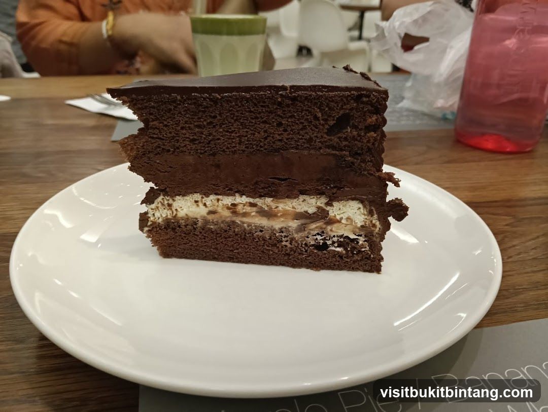 Chocolate Cake Slice