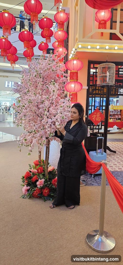 Woman Poses Near Cherry Blossom Tree and Lanterns