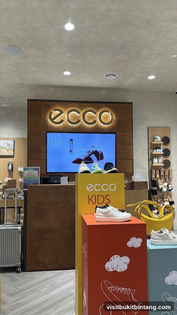 Ecco Kids Store Display