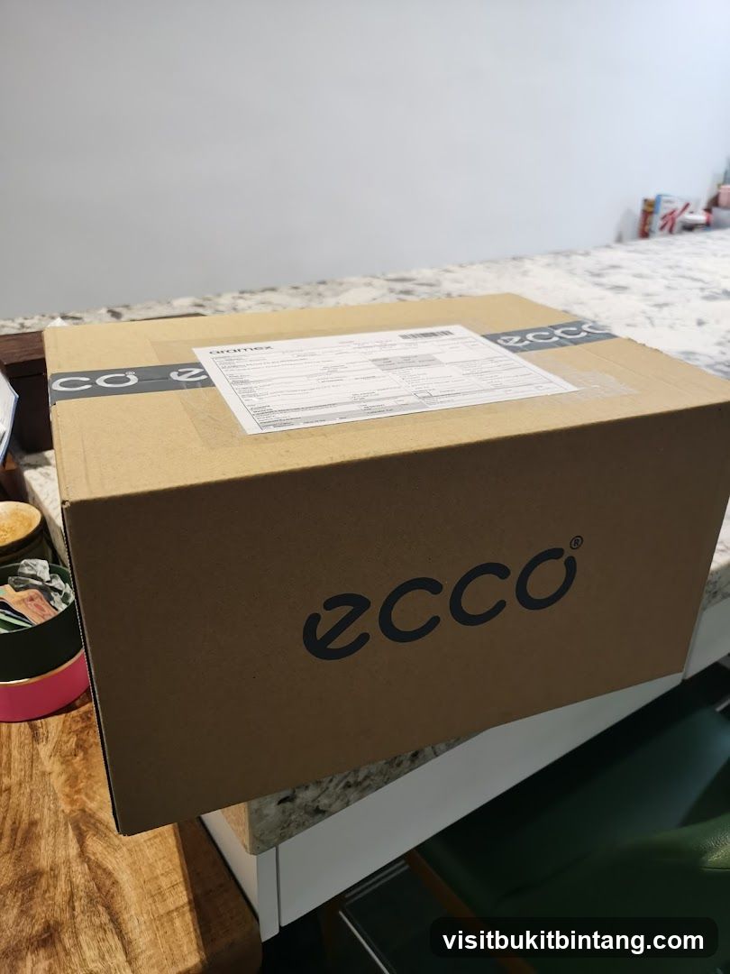 Ecco branded cardboard box