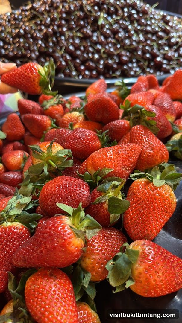 Fresh Strawberries