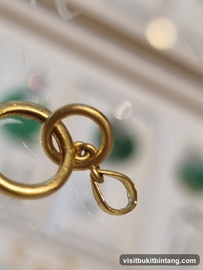 Gold Clasp Detail