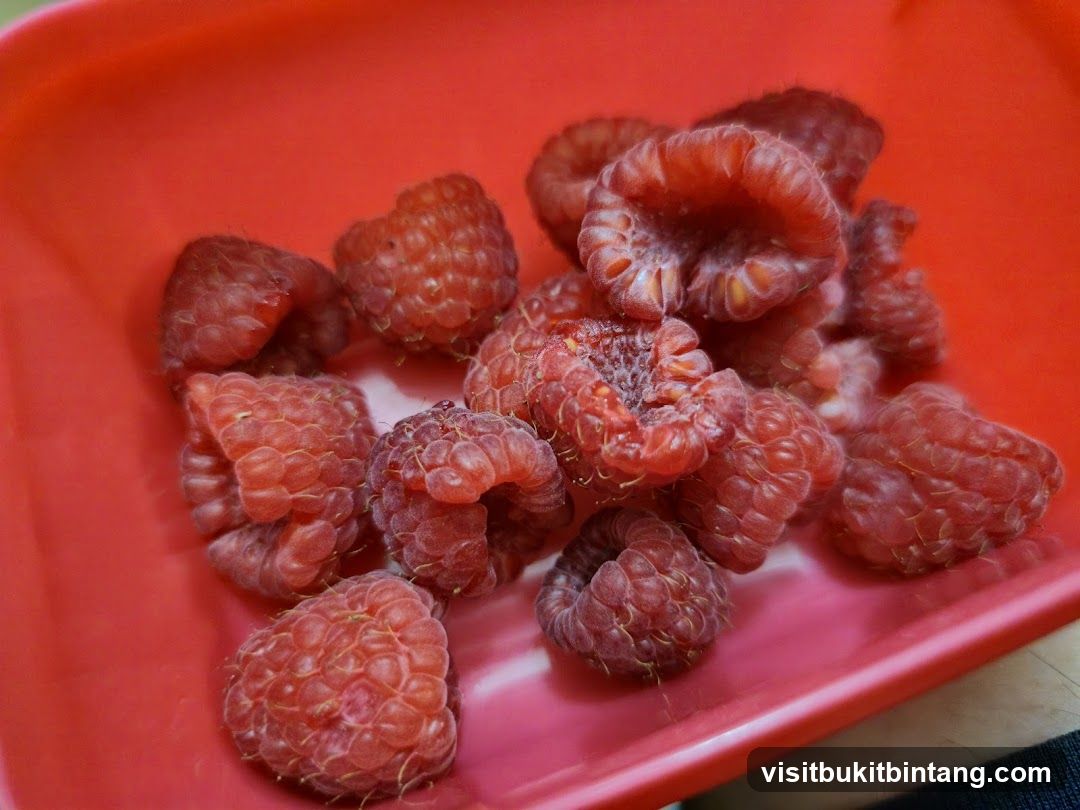 Raspberries in a Red Container