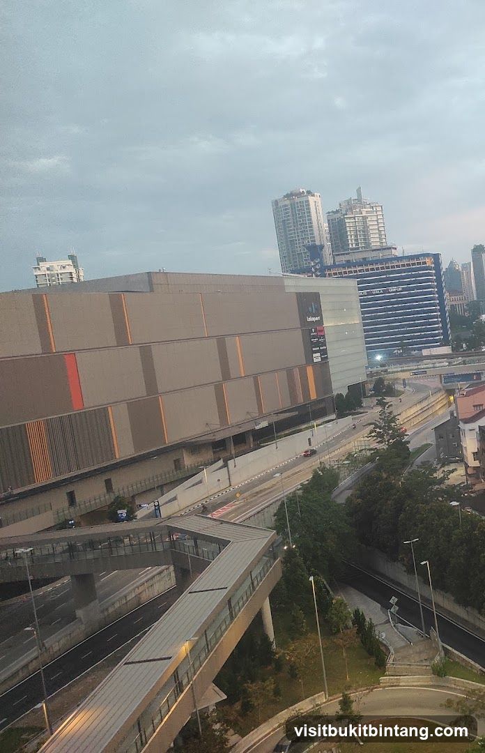 Cityscape with Large Building and Skywalk