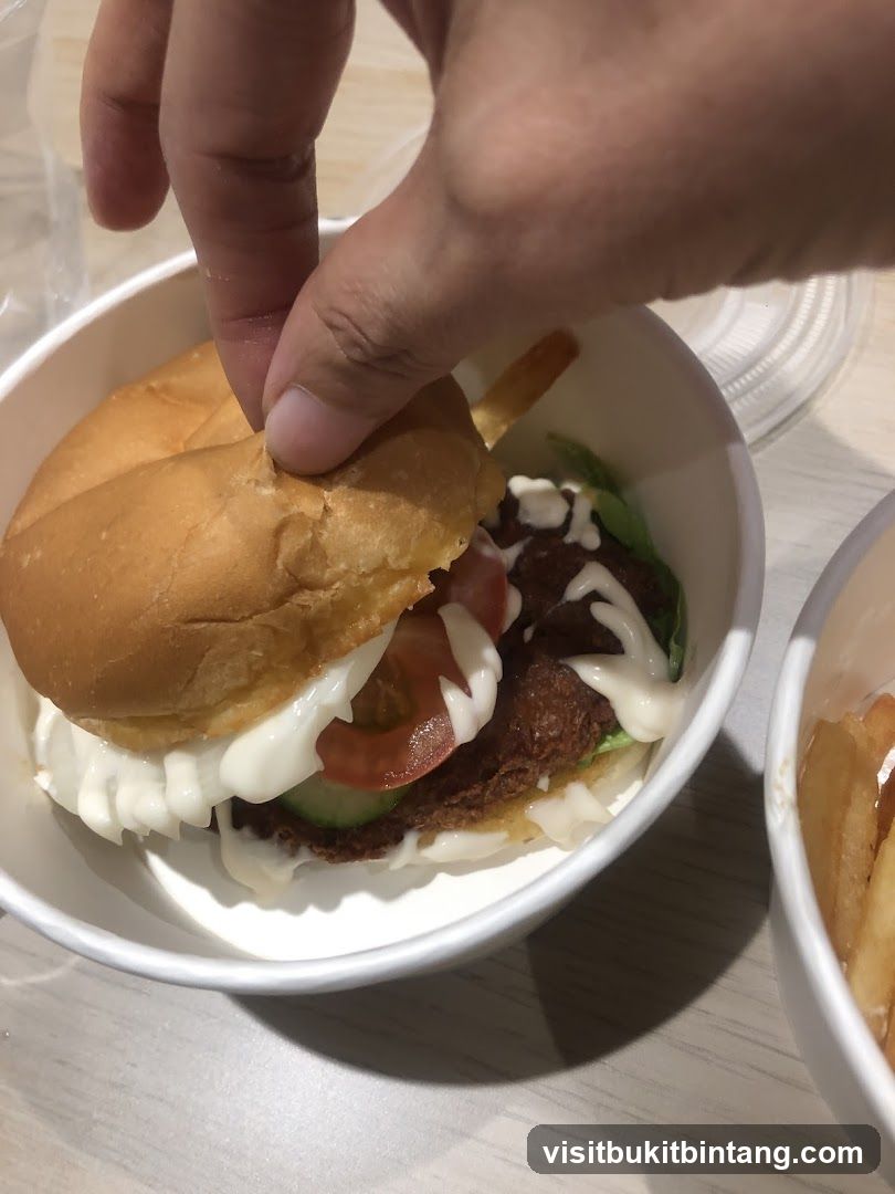 Burger and Fries