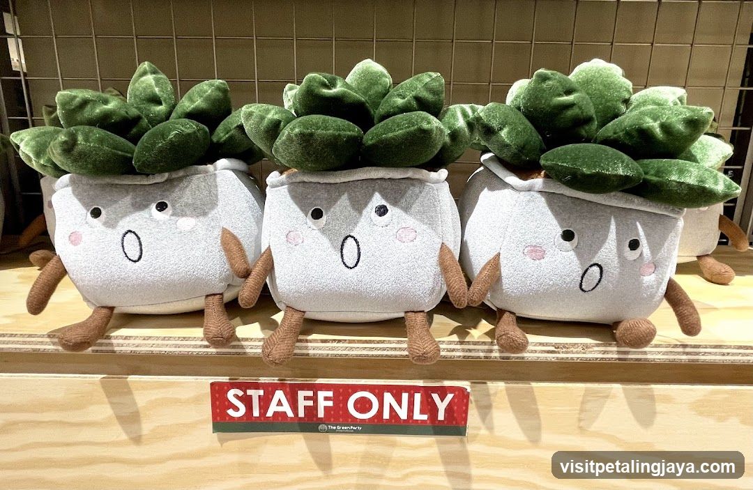 Plush Succulent Merchandise Display