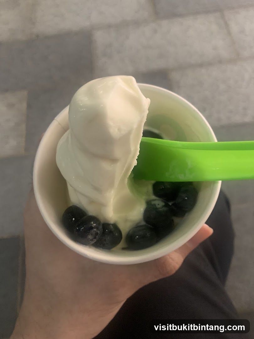 Frozen Yogurt with Blueberries