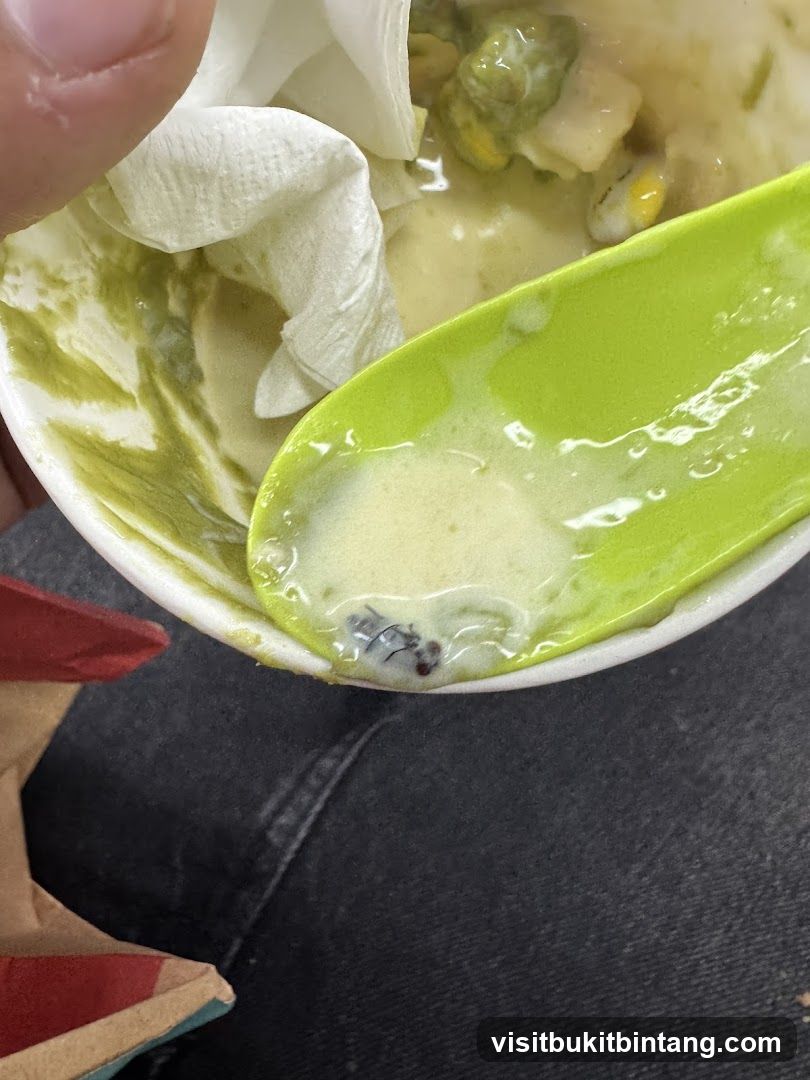 Dessert with a fly