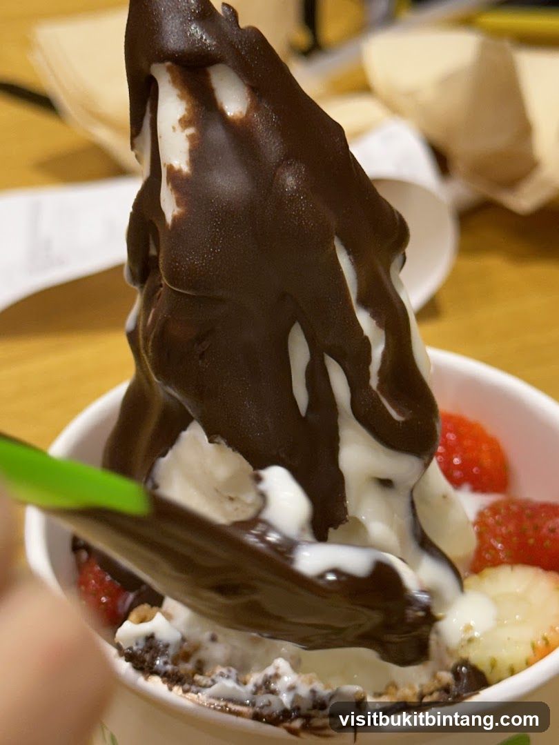 Soft Serve Ice Cream with Chocolate Drizzle and Strawberries