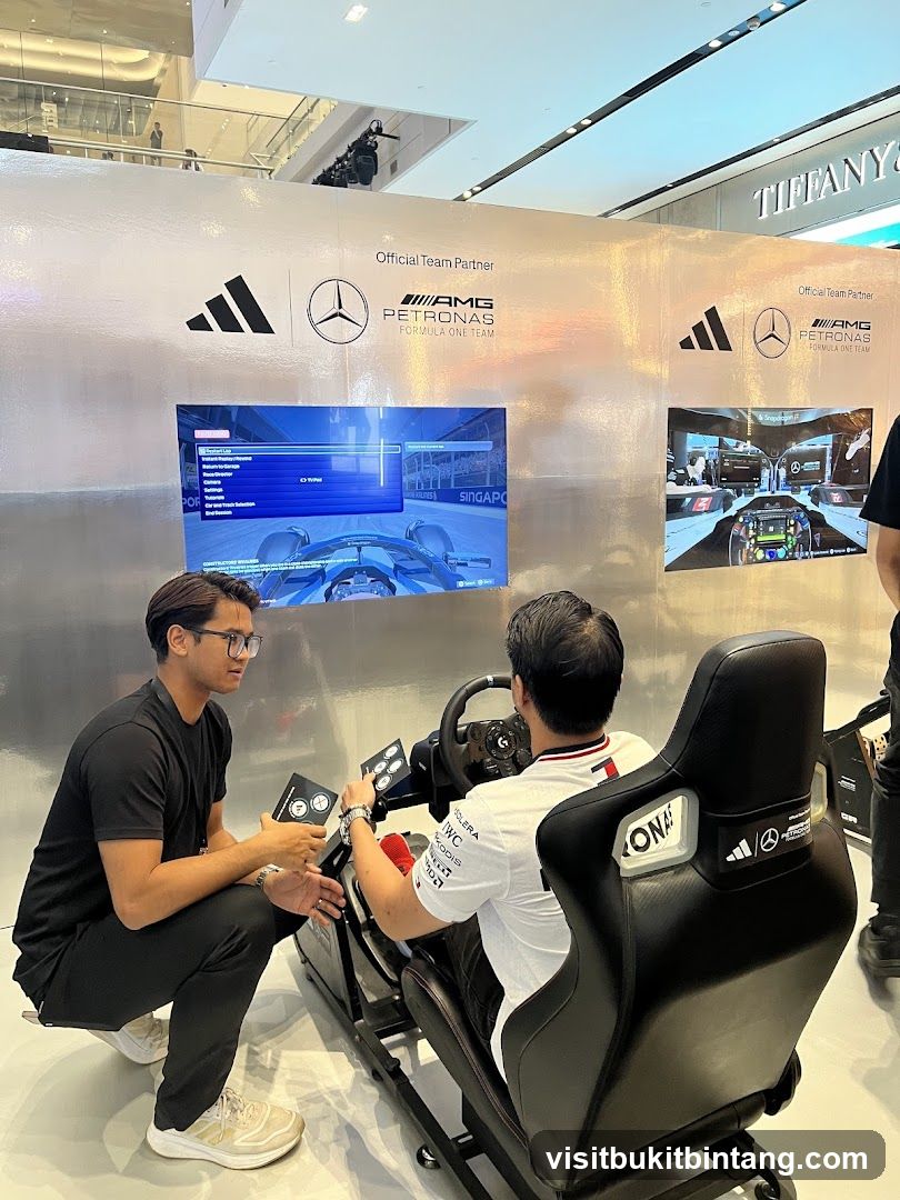 Formula One Racing Simulator