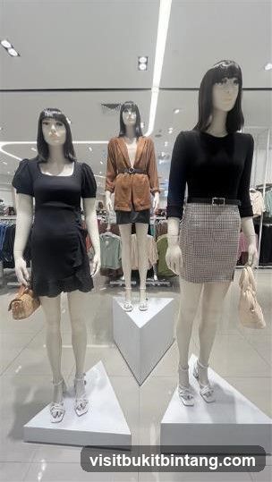 Mannequins in a store