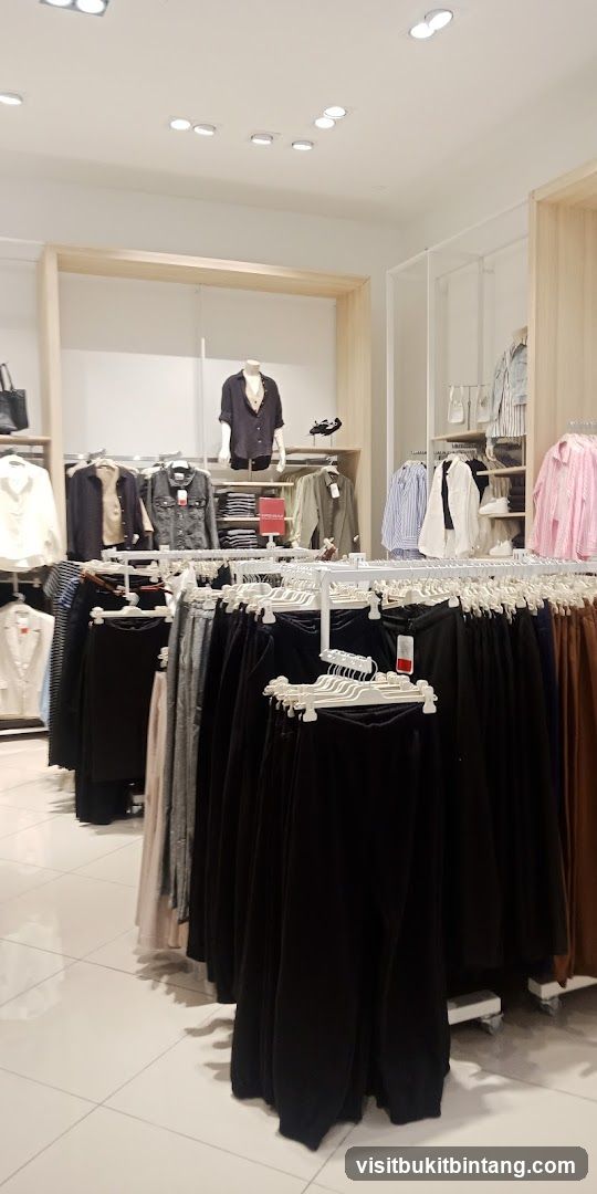 Clothing Store Interior