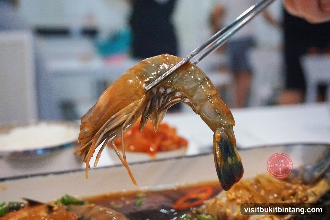 Close-up of a Shrimp