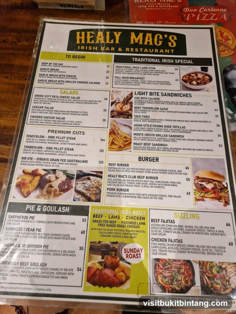 HEALY MAC'S IRISH BAR & RESTAURANT