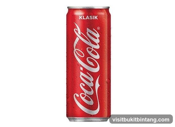 Coca-Cola Can