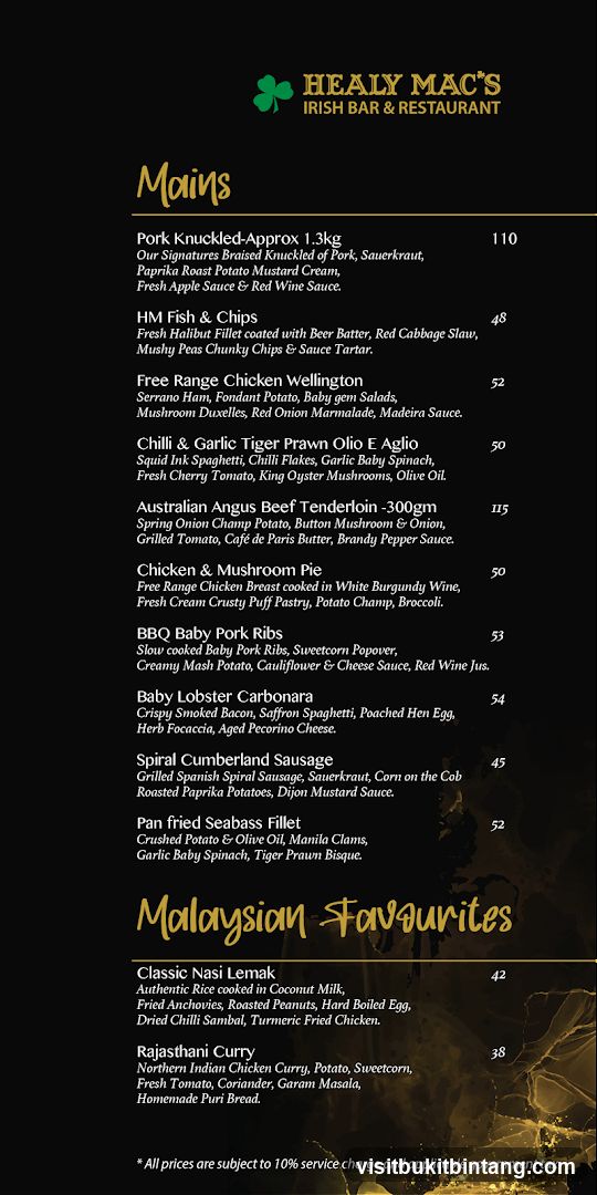 HEALY MAC'S IRISH BAR & RESTAURANT