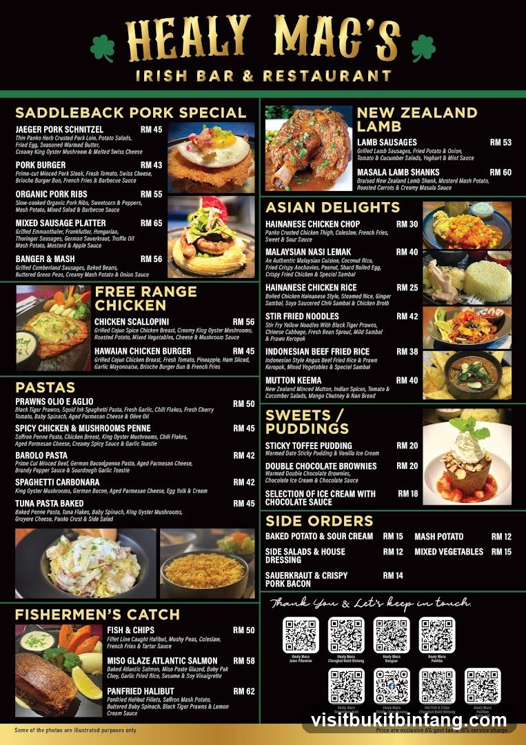 HEALY MAC'S IRISH BAR & RESTAURANT