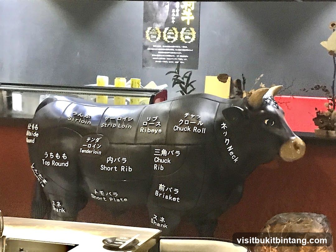 Beef Cut Model
