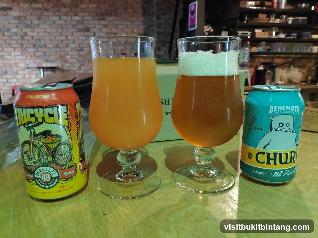 Two glasses of beer and two cans of beer