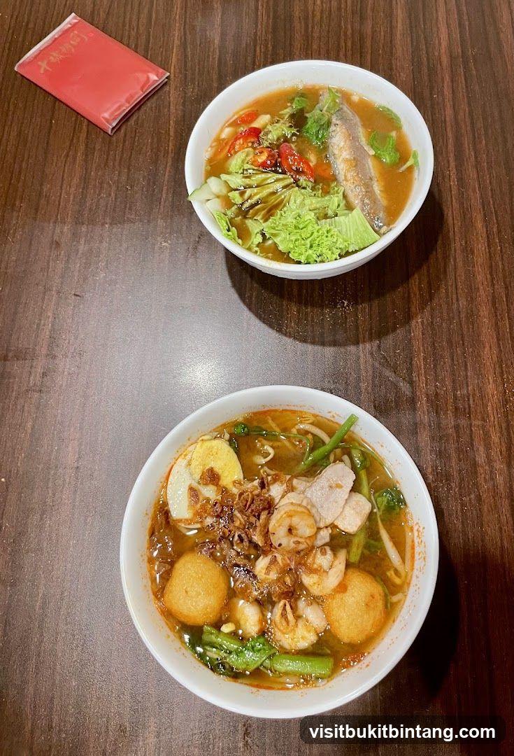 Two bowls of noodle soup