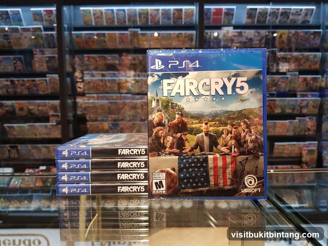Far Cry 5 Video Game