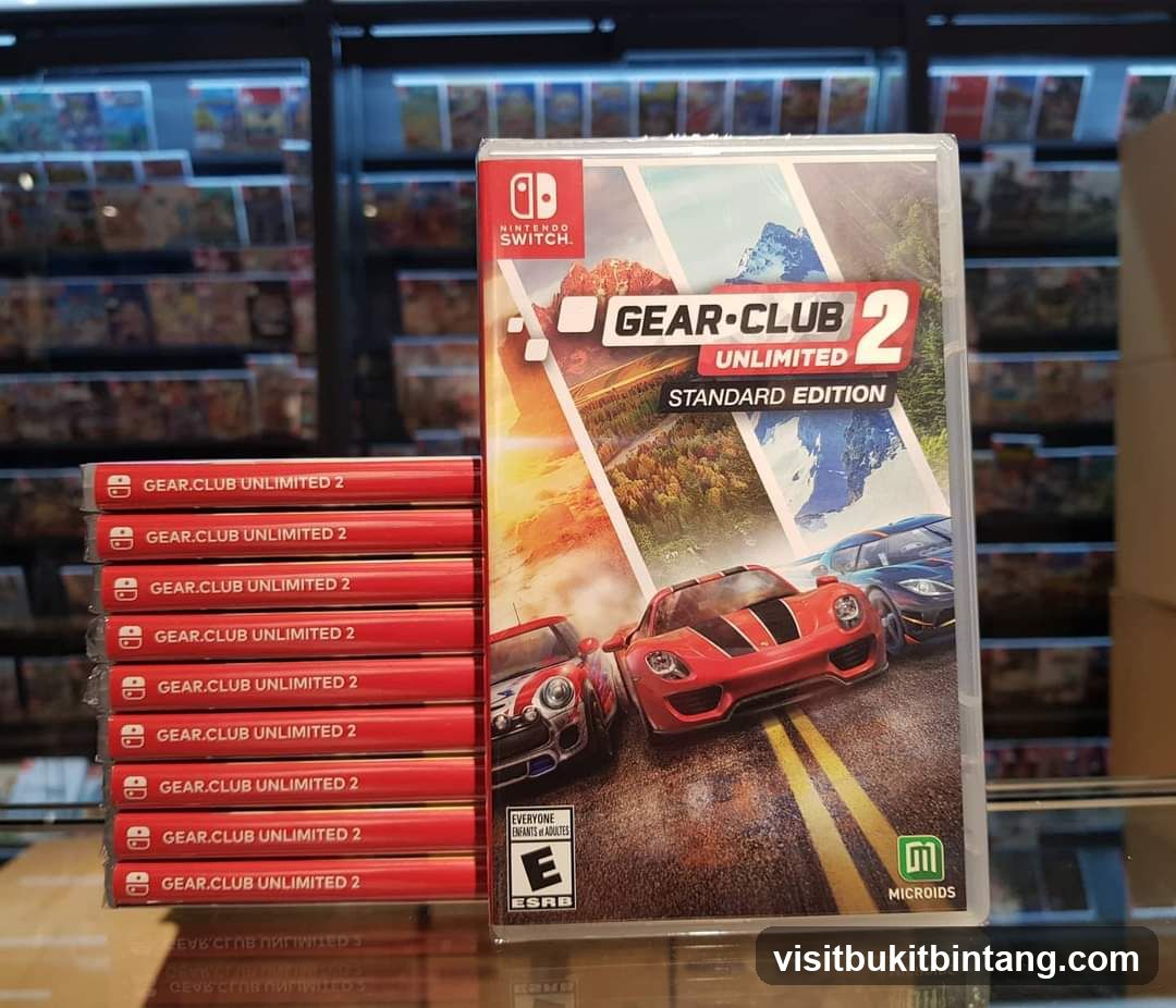 Nintendo Switch Game