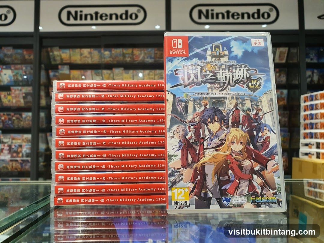 Nintendo Switch Game Display