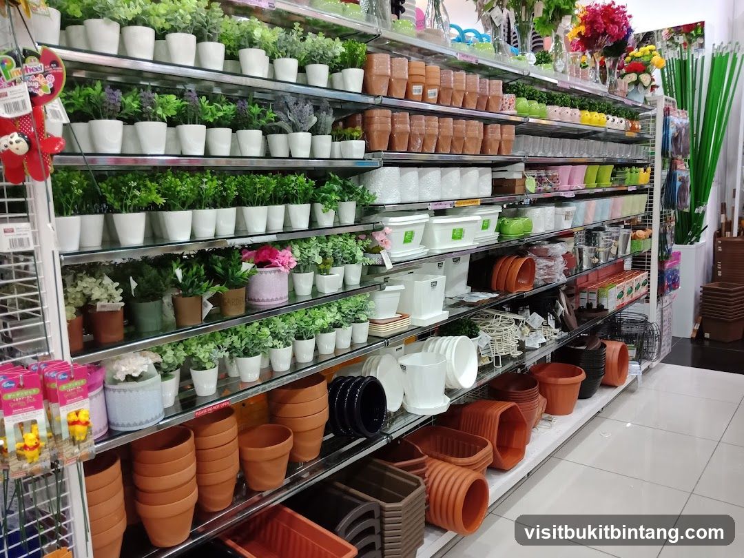 Shelves stocked with plants and pots