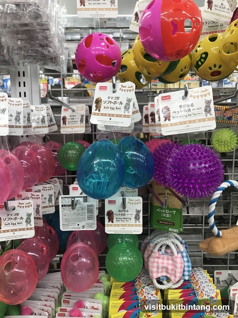 Pet Toys