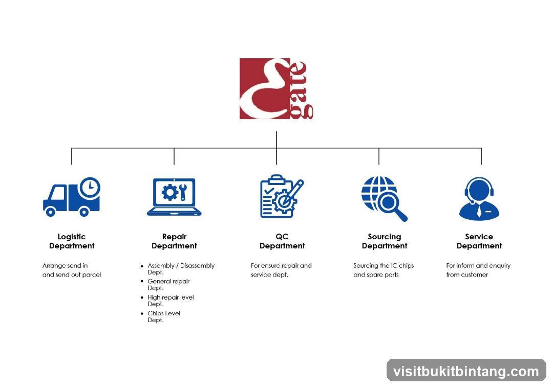 Organizational Chart