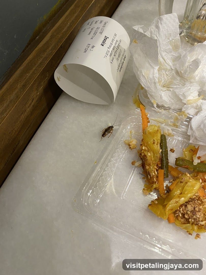 Eaten takeout food with cockroach