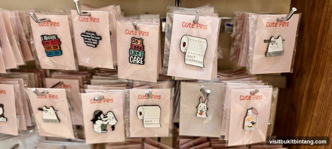 Cute Pins Display