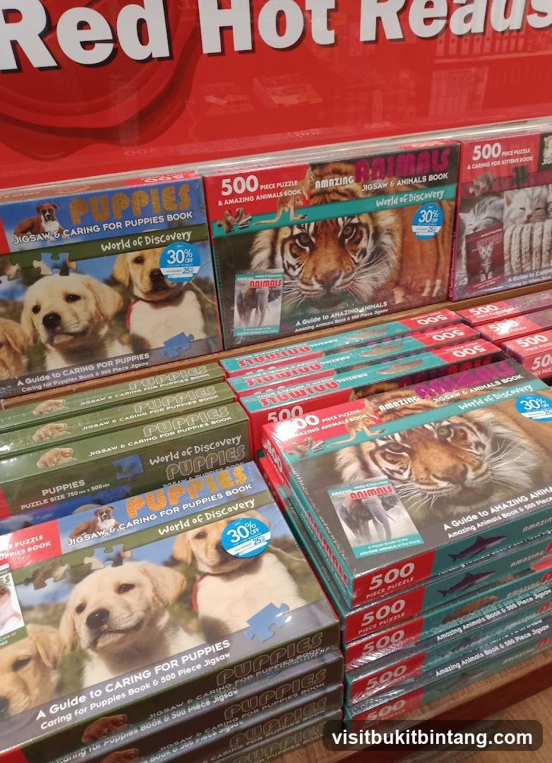 Puzzles and Books Display