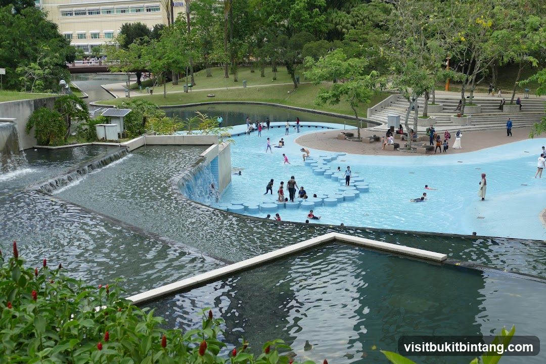 People enjoying a water park