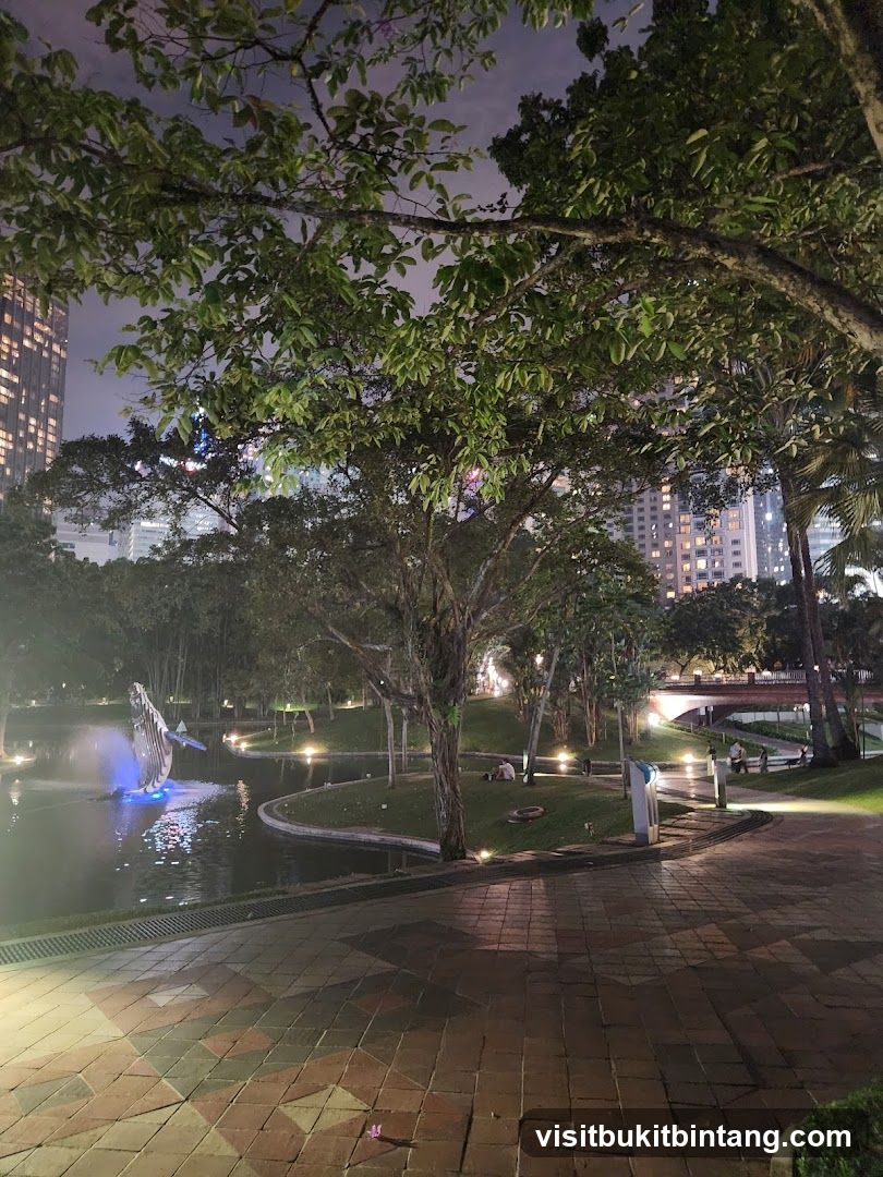 City Park at Night