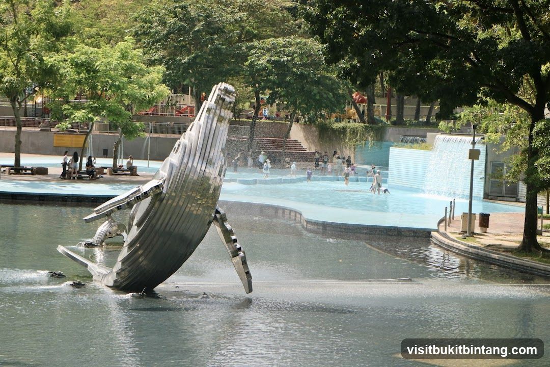 Whale Sculpture and Splash Pad