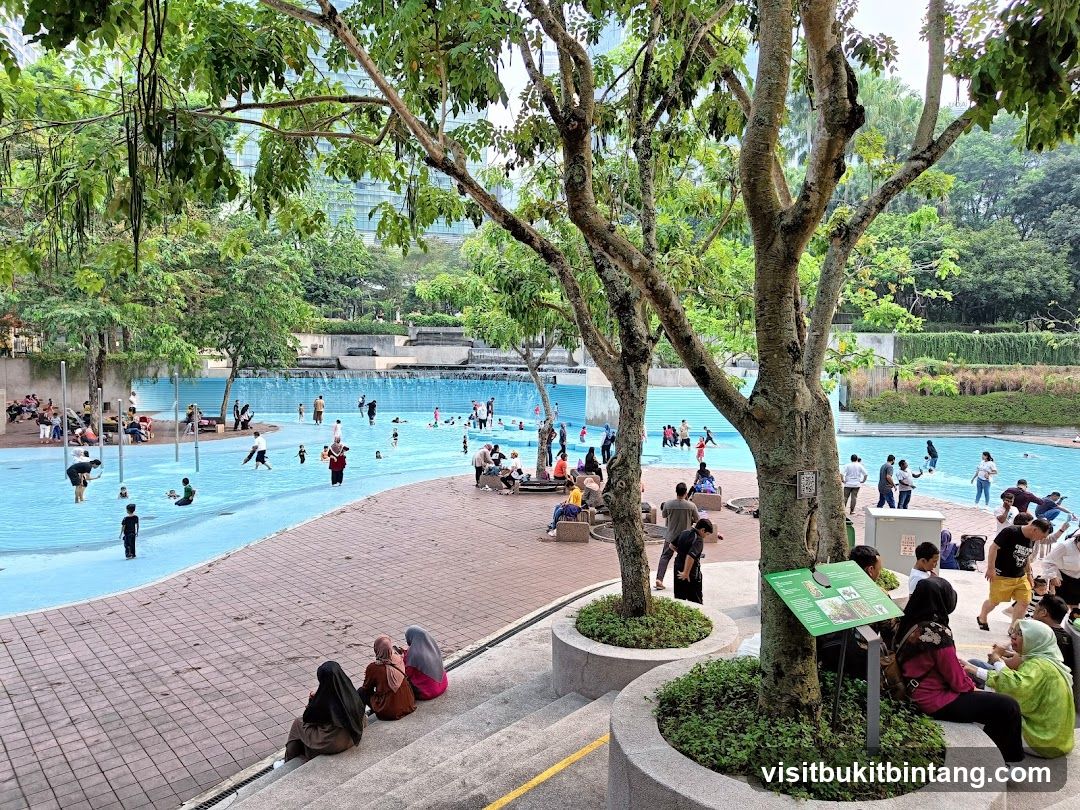 People enjoying a public swimming pool