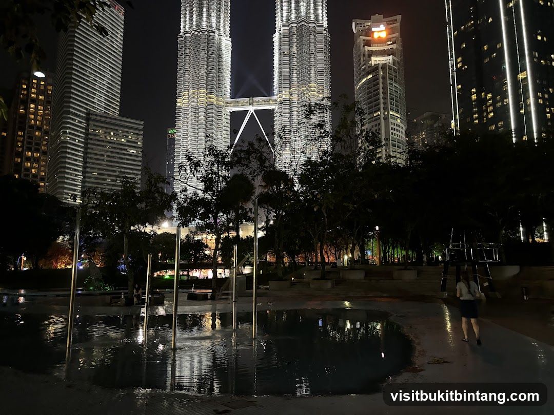 Nighttime Cityscape with Twin Towers
