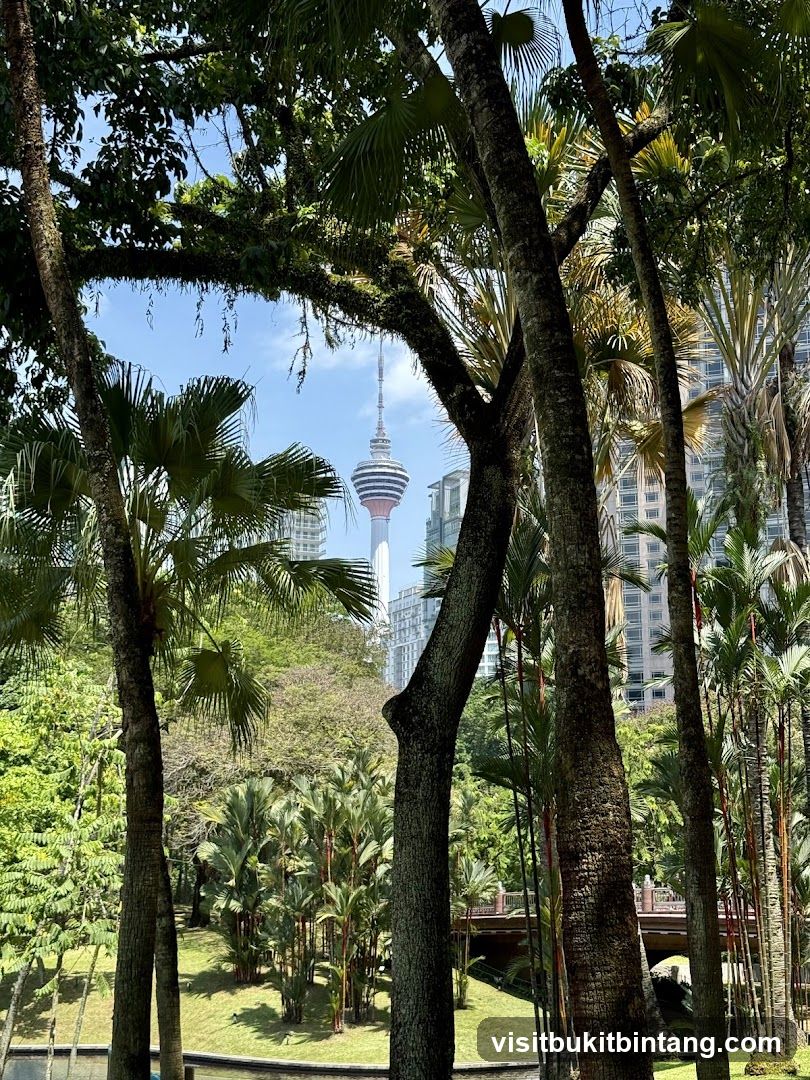 Park with a view of a tower