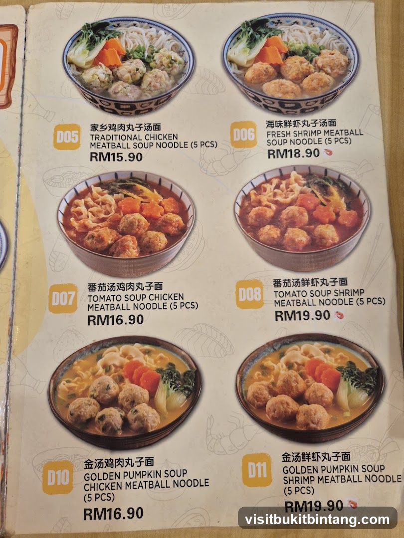 Meatball Soup Noodles