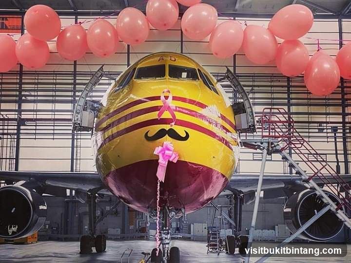 Airplane decorated for breast cancer awareness