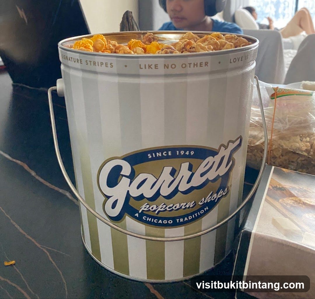 Popcorn Tin